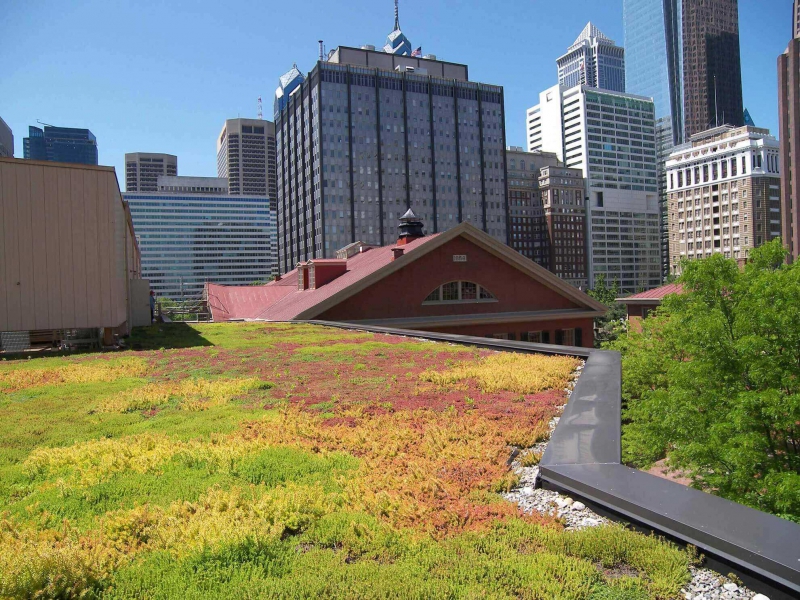 paysagiste-ST SAUVEUR SUR TINEE-min_green-roof-portfolio-4